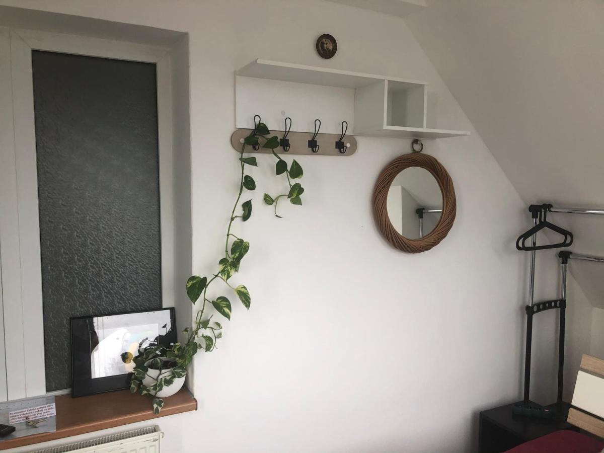 Homestay U Hanky Zdiby المظهر الخارجي الصورة